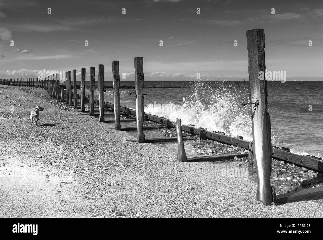 Pennelli in legno e revetments, fatiscente sulla West Runton Beach, North Norfolk. Foto Stock