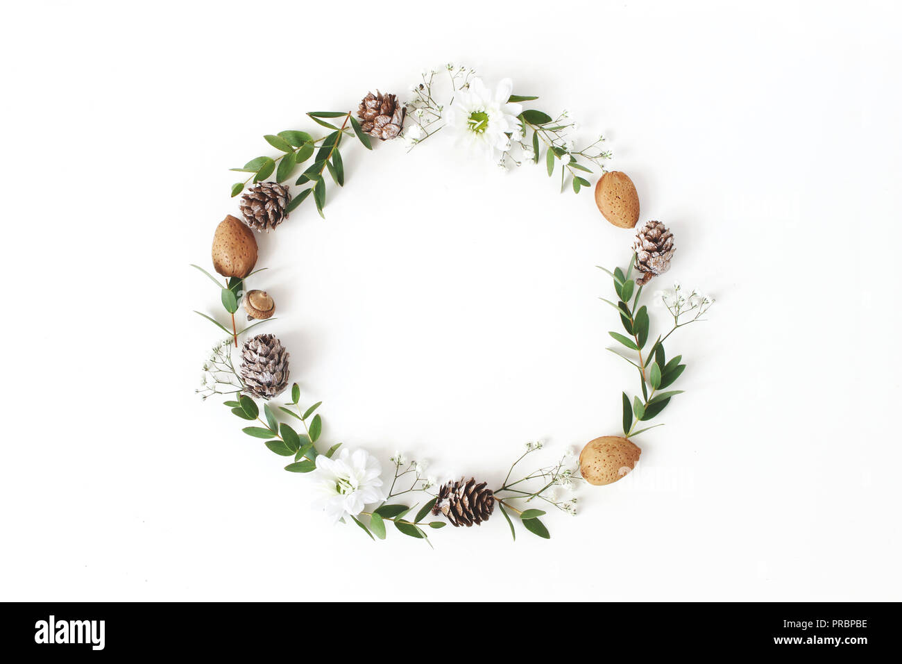 Cerchio di Natale composizione floreale. Ghirlanda di rami di eucalipto, larice coni, mandorle, crisantemo e bimbo di respiro Fiori su fondo bianco. Inverno di nozze design. Appartamento laico, vista dall'alto. Foto Stock