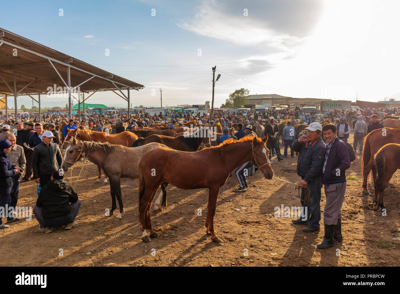 In Asia centrale, Kirghizistan, Karakol, domenica mercato degli animali Foto Stock