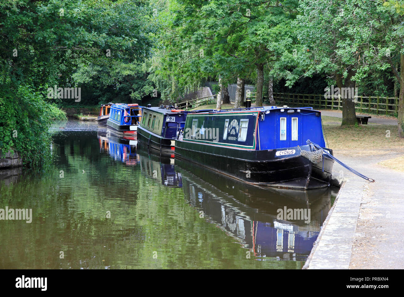 Strette barche ormeggiate sulla banchina di Llangollen Canal, Trevor bacino, Llangollen Foto Stock