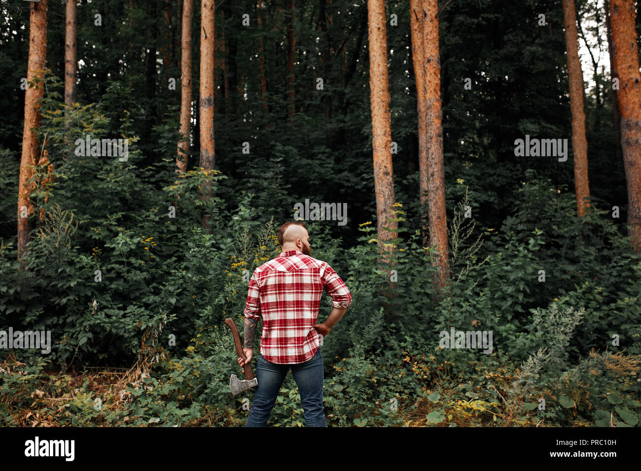 Vista posteriore di lumberjack in foresta tenendo un'ascia sulla sua spalla Foto Stock