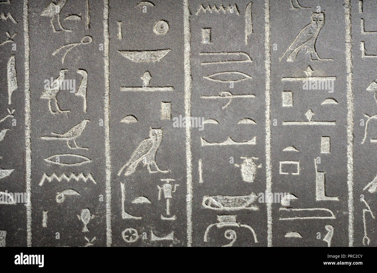 Geroglifici egiziani sul sarcofago del " Dio la moglie Ankhnesneferiba". "Fine periodo" (664-332 a.C.) British Museum, Bloomsbury, Londra, Inghilterra, U Foto Stock