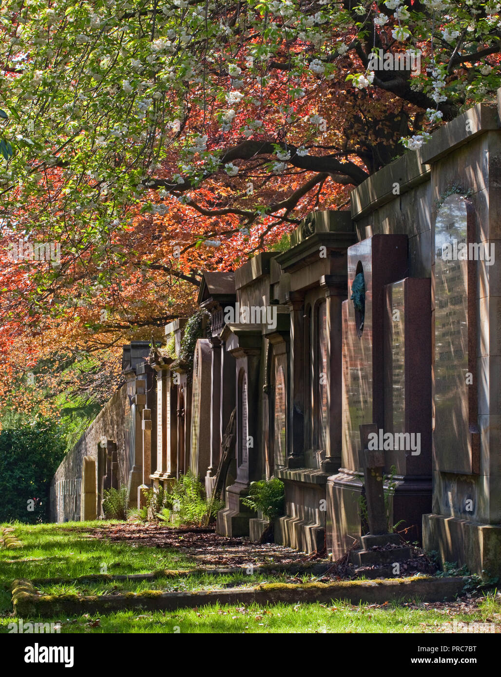 Il cimitero di Dean, Edimburgo, Scozia Foto Stock