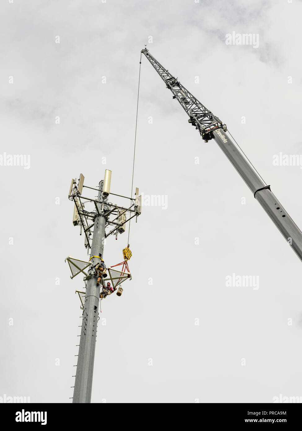 Torre cellulare riparazione o nuova installazione di 5G rete di telecomunicazione utilizzando una gru alti a Montgomery in Alabama, Stati Uniti d'America. Foto Stock
