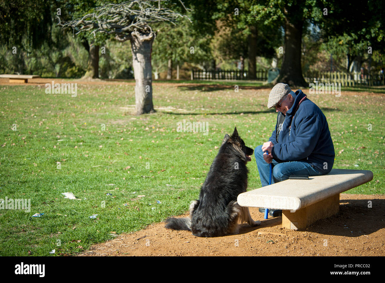 Parco Ravenor in Greenford al London Borough of Ealing Foto Stock