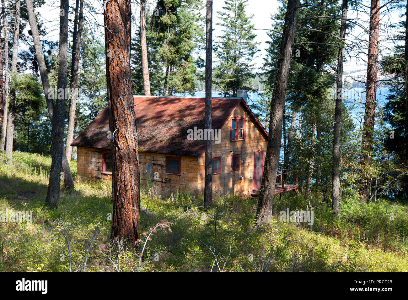 Cabin boschi attorno al lago Flathead, Montana Foto Stock
