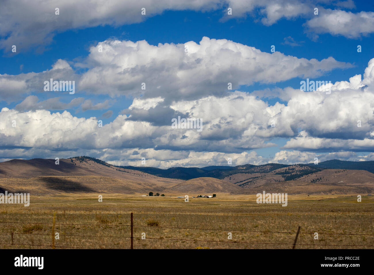 Aprire prairie e big sky nel Montana, USA Foto Stock