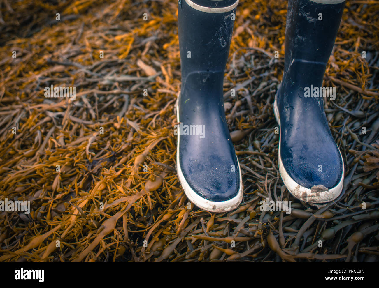 In stile retrò Foto di Wet stivali di gomma Walking su alga su una spiaggia con spazio di copia Foto Stock