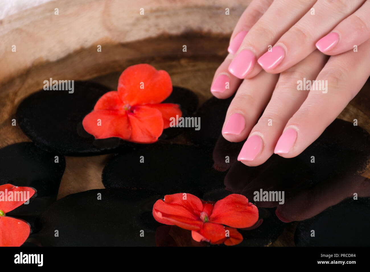 Donna dito con rosa unghie manicure gel polacco al di sopra dell'acqua con fiori di colore rosso e la pietra nera nella ciotola di legno. Close up, il fuoco selettivo Foto Stock