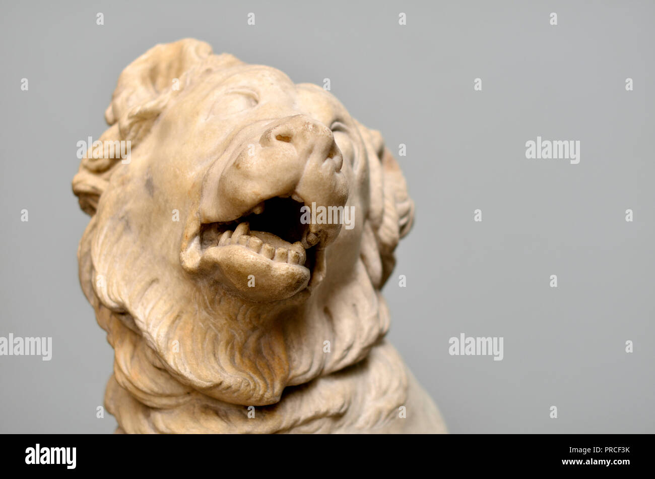 Il Segugio molosso, dettaglio della testa (C2ndC BC: copia romana di bronzo Greco originale) British Museum, Bloomsbury, Londra, Inghilterra, Regno Unito. Foto Stock