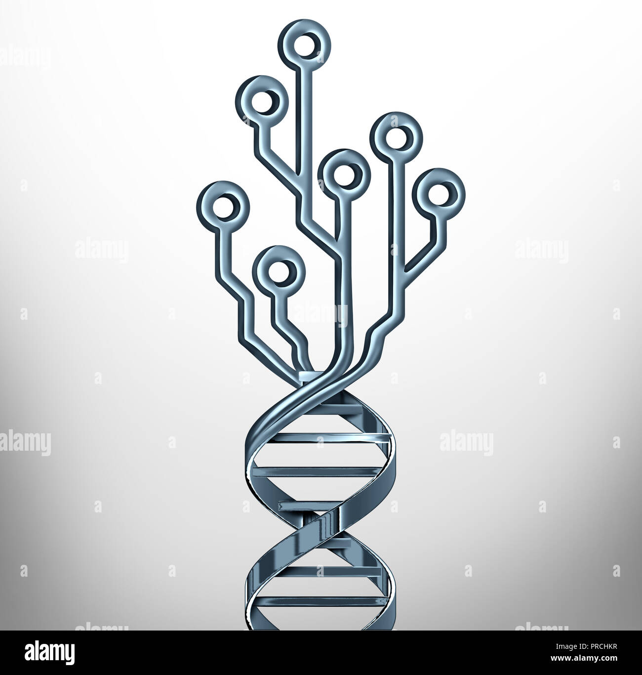 DNA digitale simbolo di innovazione come test di genetica e medicina tecnologia o la ricerca nel campo delle biotecnologie o come un simbolo del genoma con un circuito di computer. Foto Stock