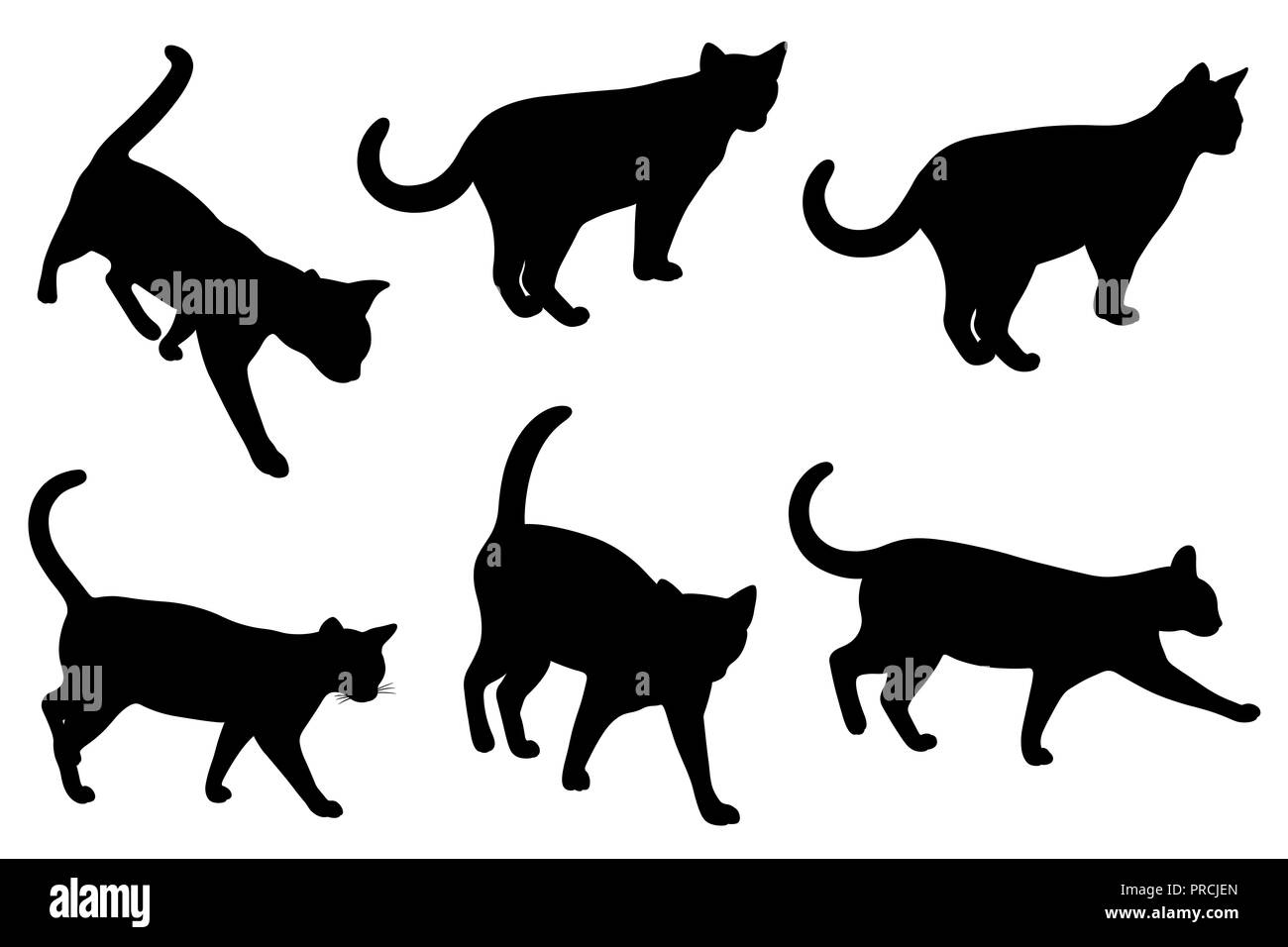Insieme di diversi gatti isolato su bianco Foto Stock