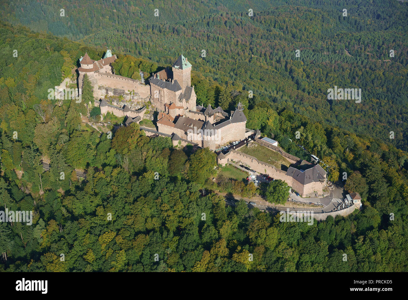 VISTA AEREA. Arenaria rosa castello medievale su una cima boscosa di montagna. Castello di Haut-Koenigsbourg, Orschwiller, basso Reno, Alsazia, Grand Est, Francia. Foto Stock