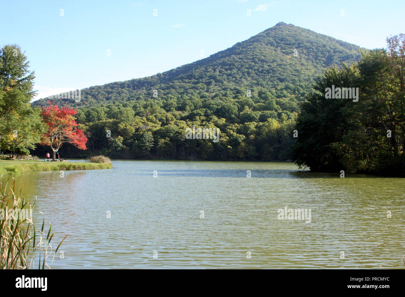 Vista su Sharp Top e sul lago Abbott nelle Blue Ridge Mountains, Virginia, Stati Uniti Foto Stock