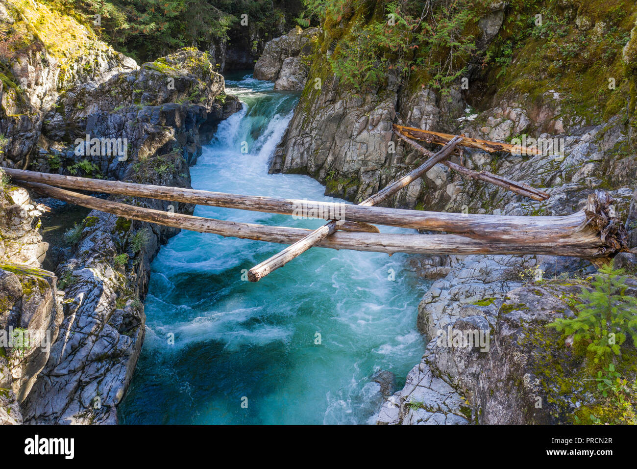 Bel fiume e cascata a Little Qualicum Falls, Canada Foto Stock