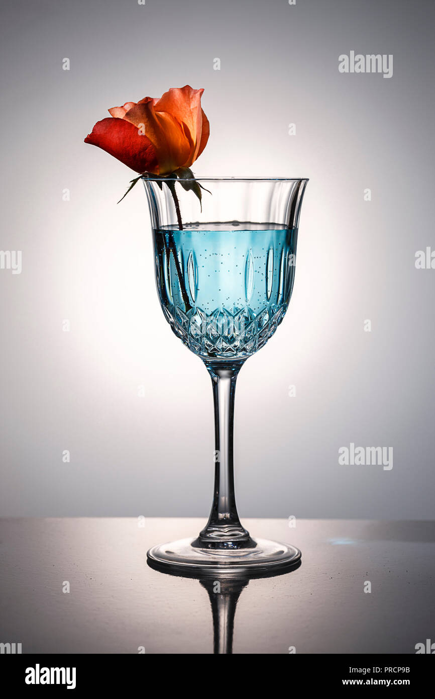 Una rosa è in un bicchiere di cristallo con blu acqua oscurata. Foto Stock