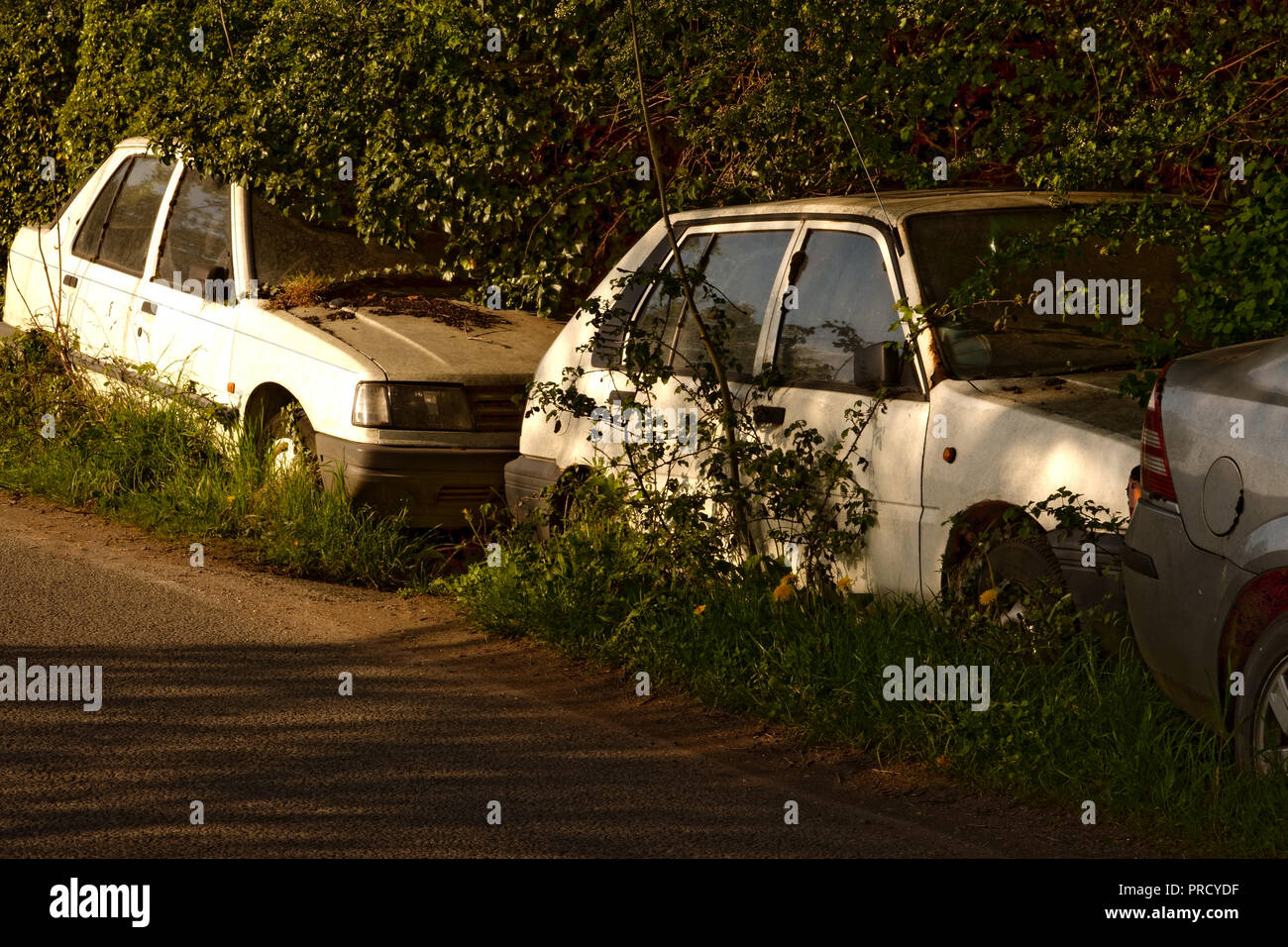 Automobili abbandonate nestle nel sottobosco della splendida campagna nel Surrey, Regno Unito Foto Stock