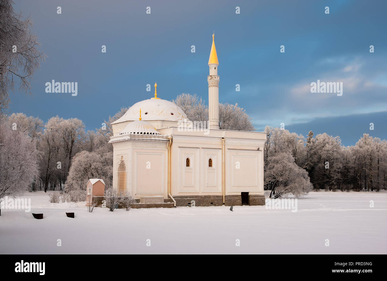 Carskoe Selo, San Pietroburgo, Russia - 17 gennaio 2016: Il Bagno Turco Pavilion sulla banca del grande stagno del Catherine Park. Foto Stock
