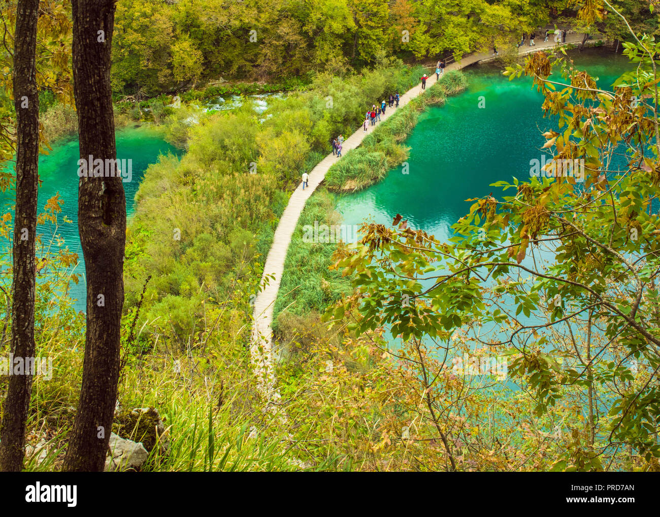 Il Parco Nazionale dei Laghi di Plitvice, Croazia Foto Stock