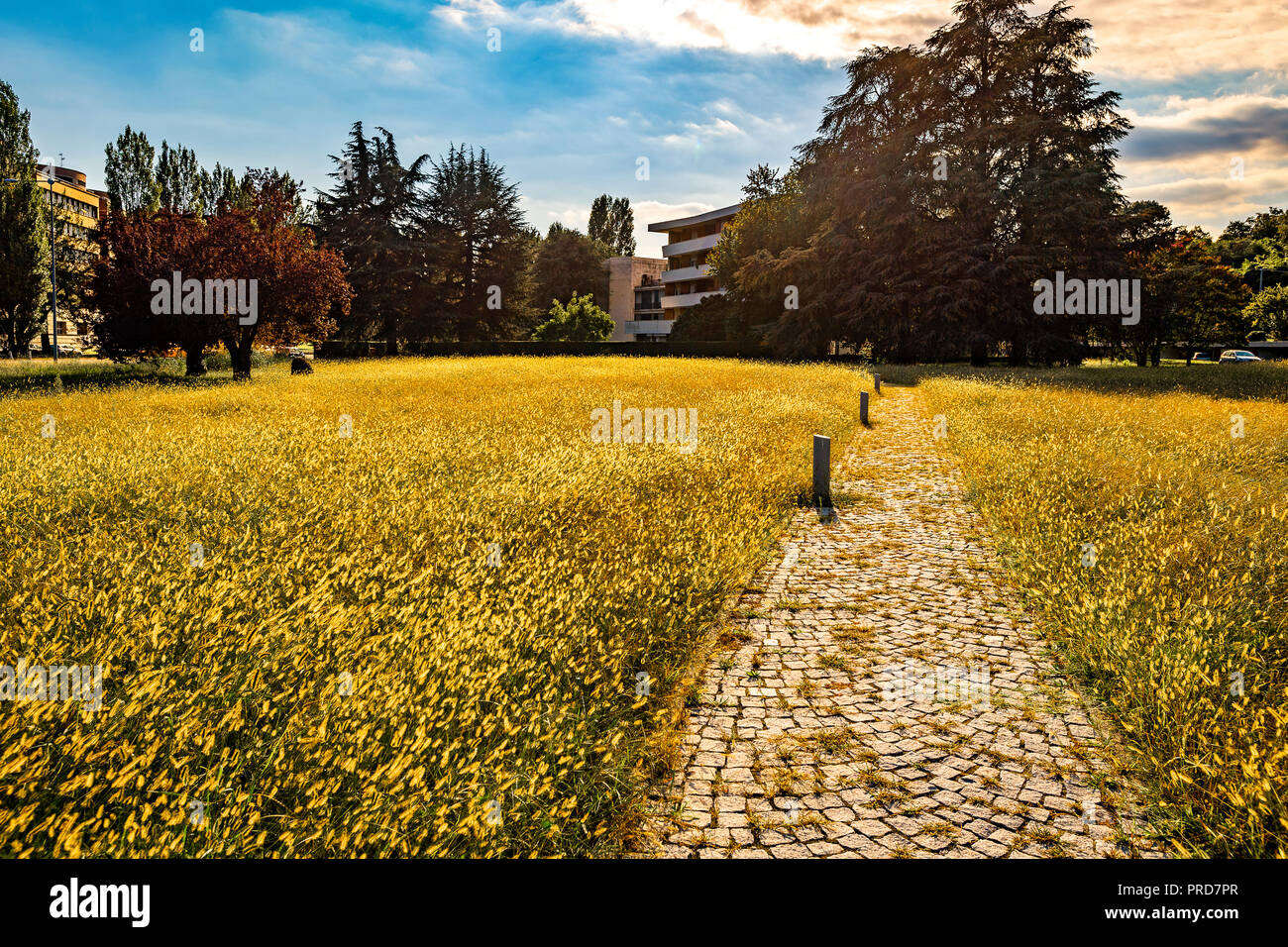 Italia Piemonte Canavese Ivrea museo aperto Olivetti case per famiglie Foto Stock