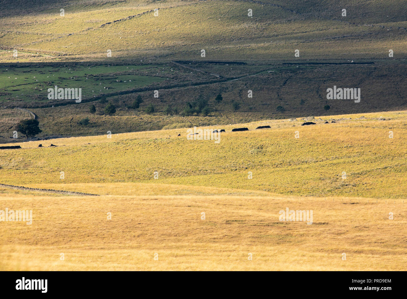 Paesaggio minimalista immagini del West Pennine Moors vicino a Bolton. Paesaggi senza cielo. Foto Stock
