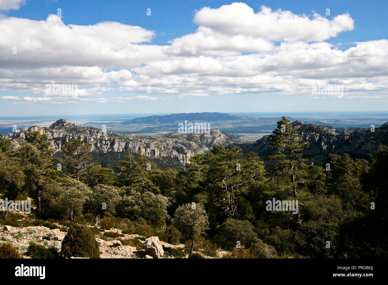 Mas de Barberans. Els porte parco naturale; Montsia Regione; Tarragona provincia; Catalogna; Spagna. Foto Stock