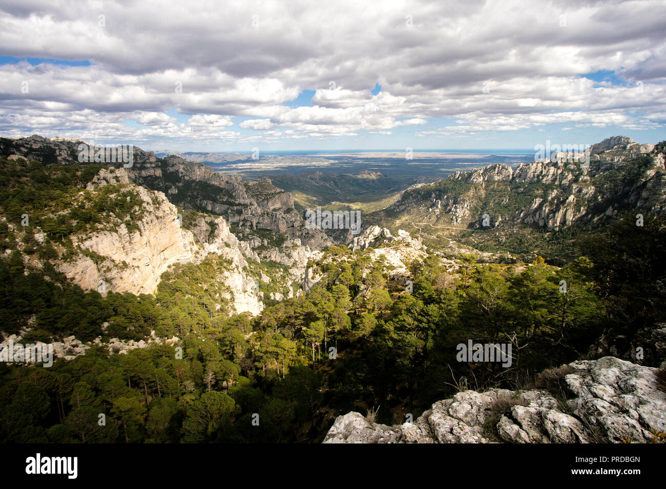 Mas de Barberans. Els porte parco naturale; Montsia Regione; Tarragona provincia; Catalogna; Spagna. Foto Stock