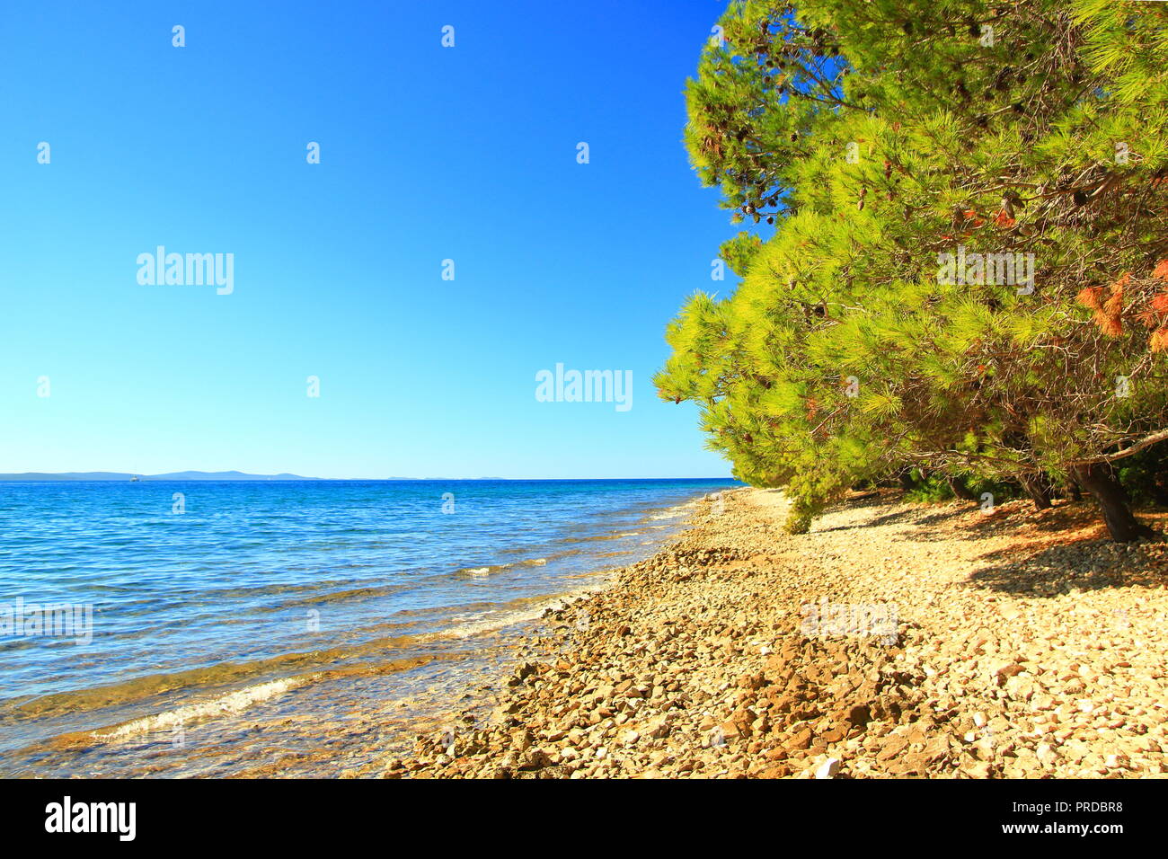 Spiaggia Rocciosa Vicino A Zadar Mare Adriatico Croazia