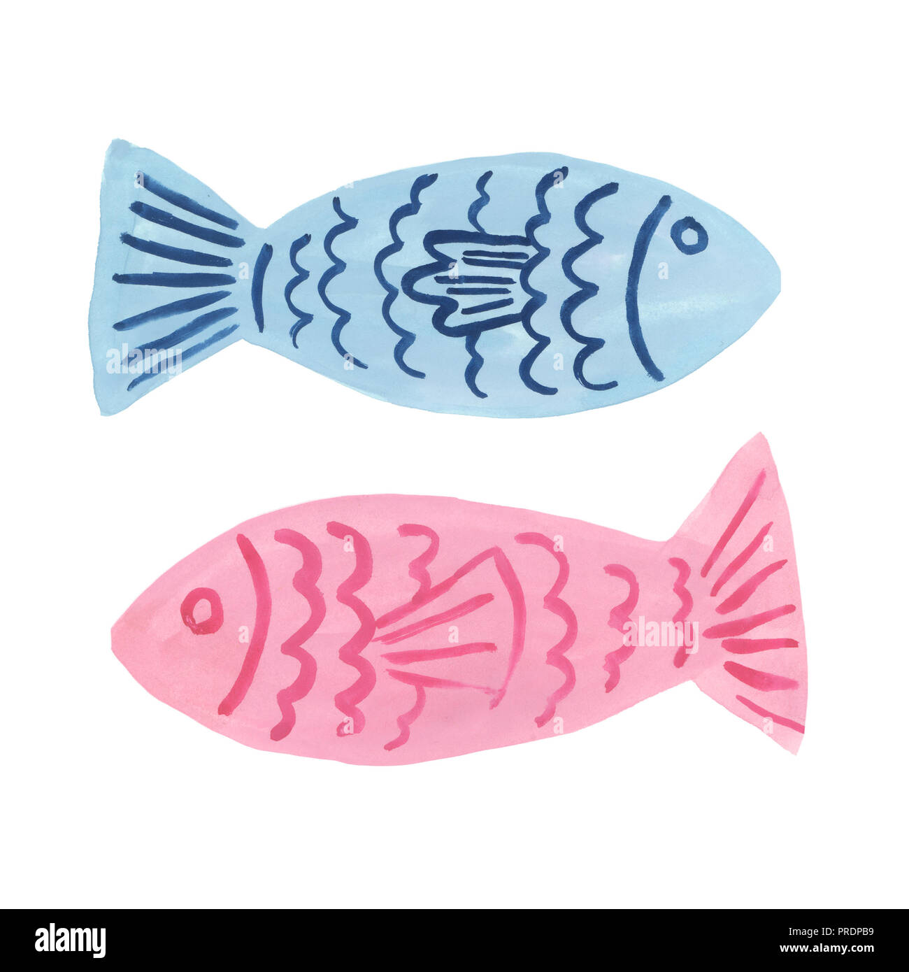 Blu e rosa pesce su sfondo bianco Foto Stock