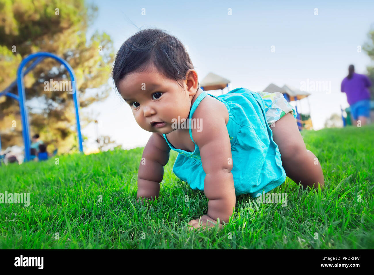 Latino baby sostenere il suo peso utilizzando le braccia e le gambe, imparare a strisciare su erba nel parco per bambini Foto Stock