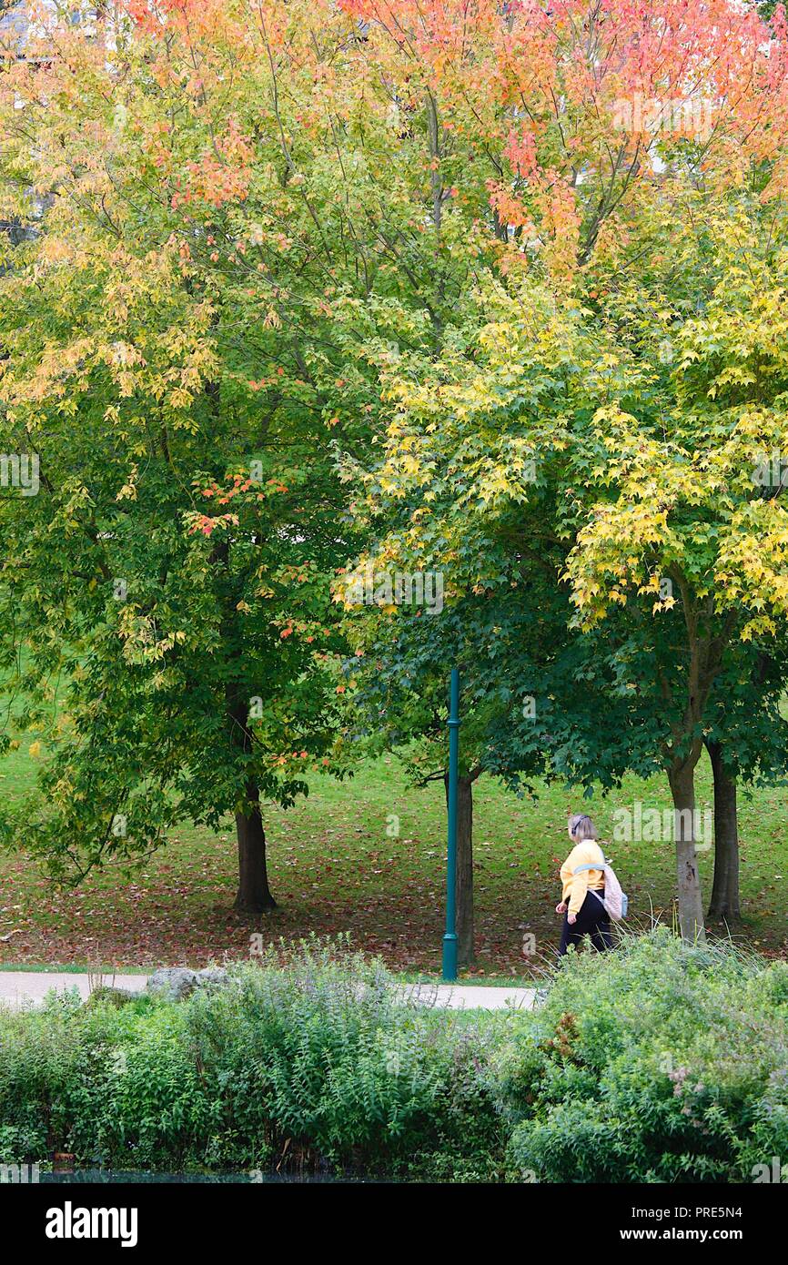 Hastings, East Sussex, Regno Unito. 2 Ottobre, 2018. Regno Unito: Meteo Meteo autunnali e una leggera brezza in aria con heavy rain previsto in seguito. Gli alberi stanno girando con un luminoso display autunnali. © Paul Lawrenson 2018, Photo credit: Paolo Lawrenson / Alamy Live News Foto Stock