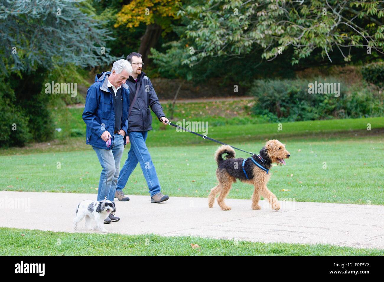 Hastings, East Sussex, Regno Unito. 2 Ottobre, 2018. Regno Unito: Meteo Meteo autunnali e una leggera brezza in aria con heavy rain dovrebbe successivamente come un paio di persone di fare una passeggiata intorno a Alexandra park. © Paul Lawrenson 2018, Photo credit: Paolo Lawrenson / Alamy Live News Foto Stock