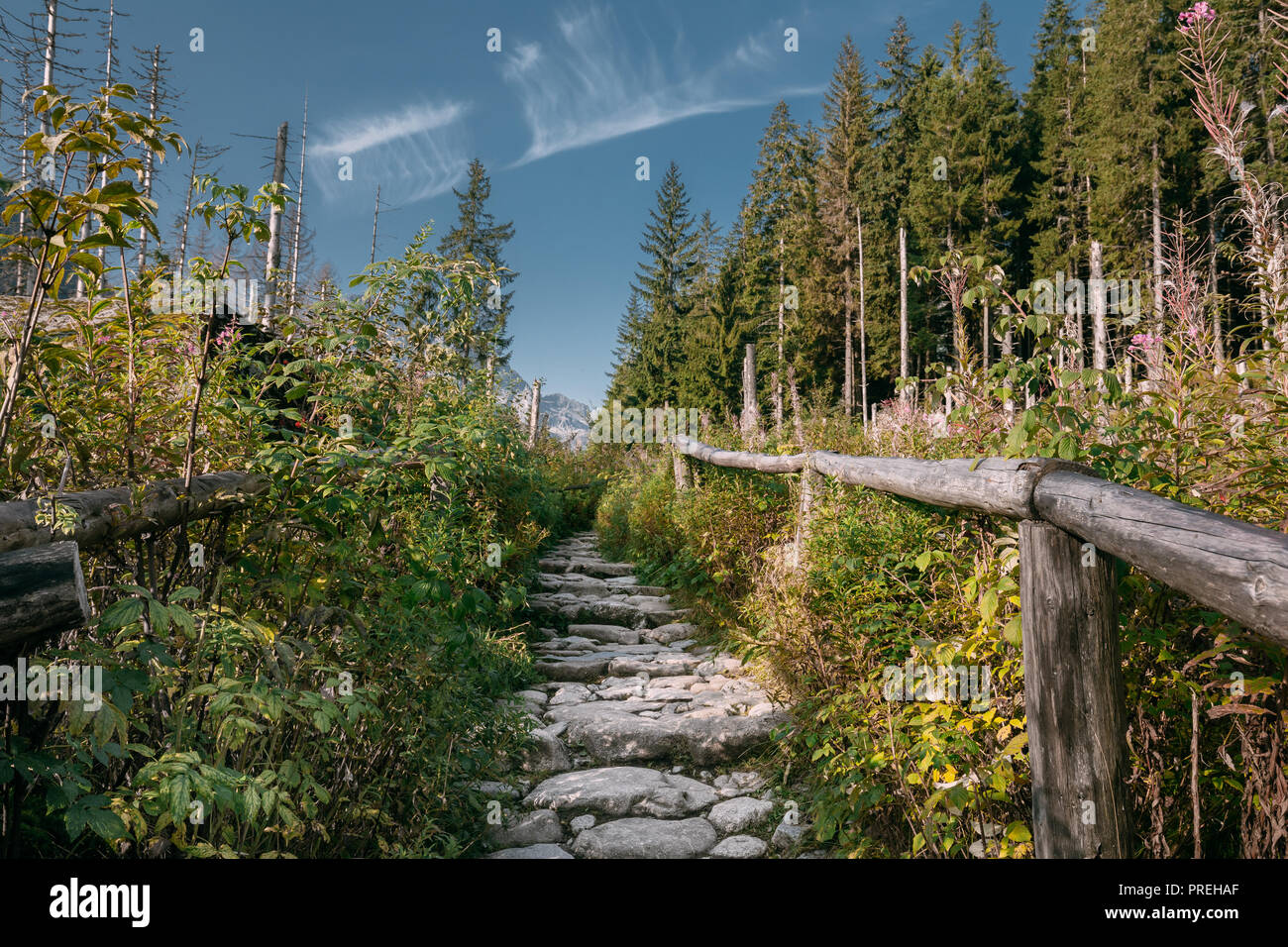 Parco nazionale dei Alti Tatra, Polonia. Sentieri escursionistici in estate nei monti Tatra paesaggio. Bella vista panoramica. Il carattere europeo. UNESCO della rete mondiale del Bios Foto Stock