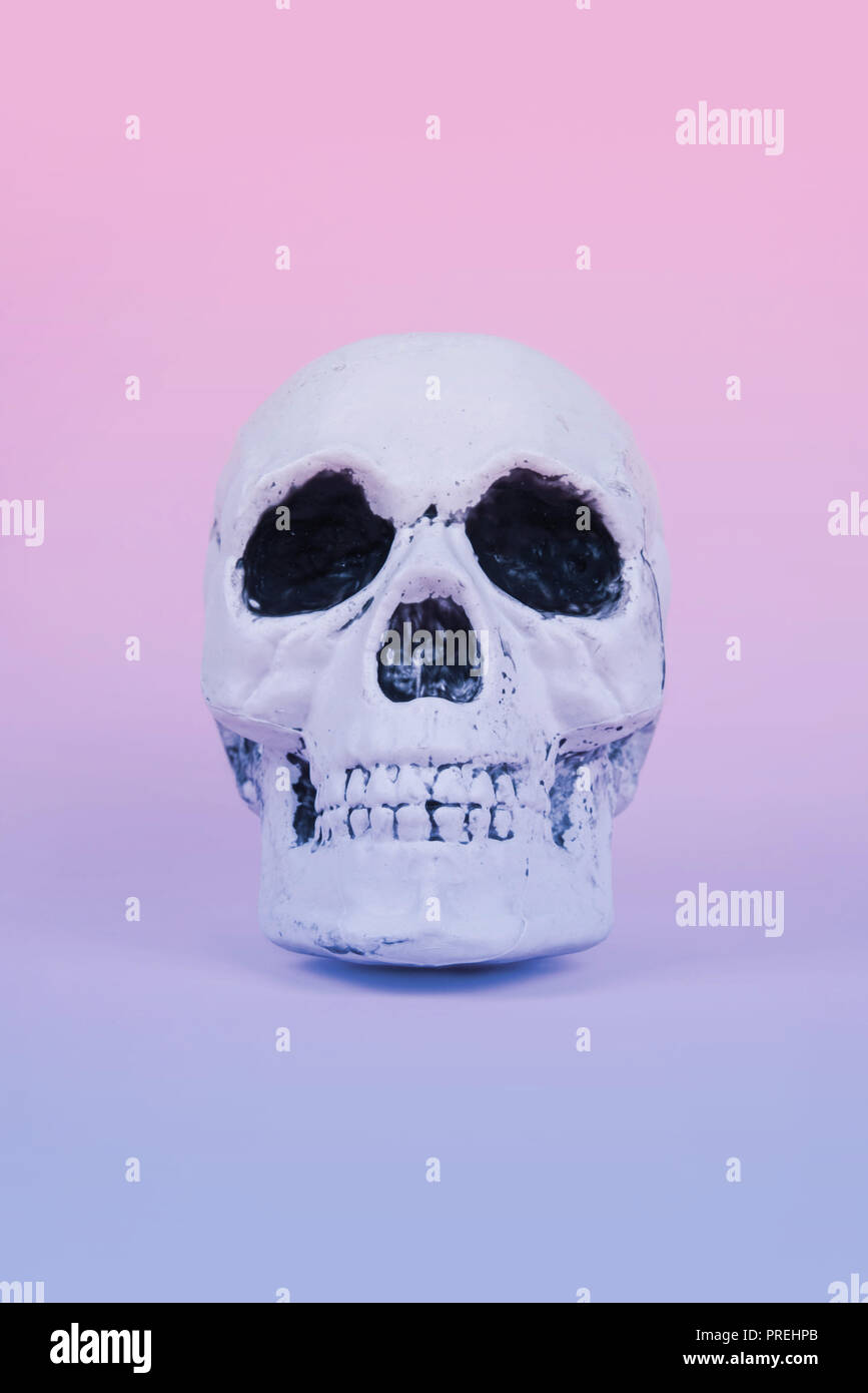 Teschio sul trendy rosa pastello sfondo. Creative concetto di Halloween. Foto Stock