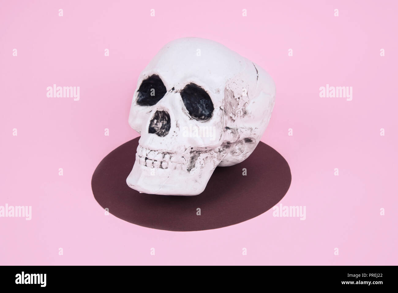 Teschio sul trendy rosa pastello sfondo. Creative concetto di Halloween. Foto Stock