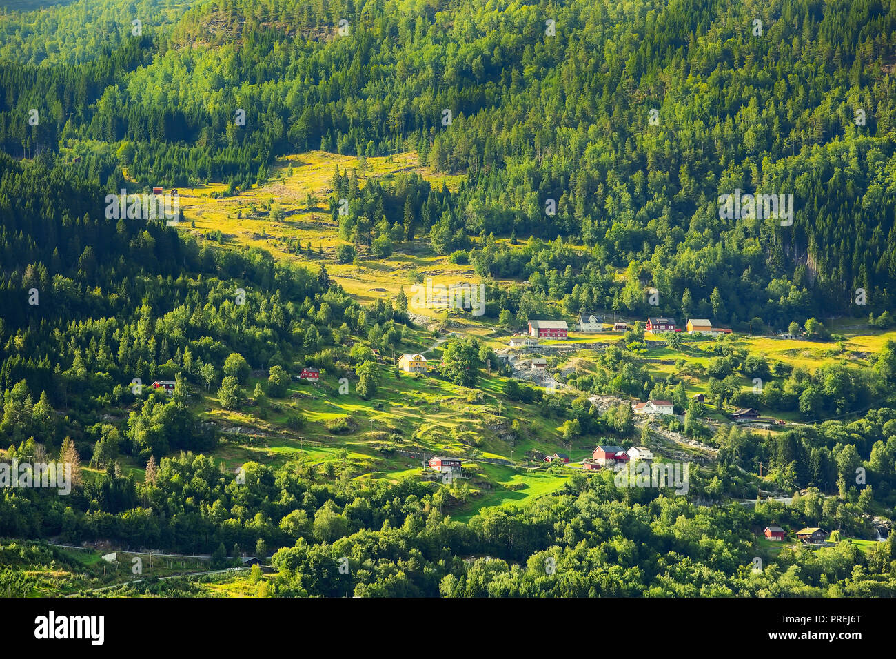 Villaggio norvegese paesaggio vicino fiordo, verde foresta montagne e case colorate, Norvegia Foto Stock