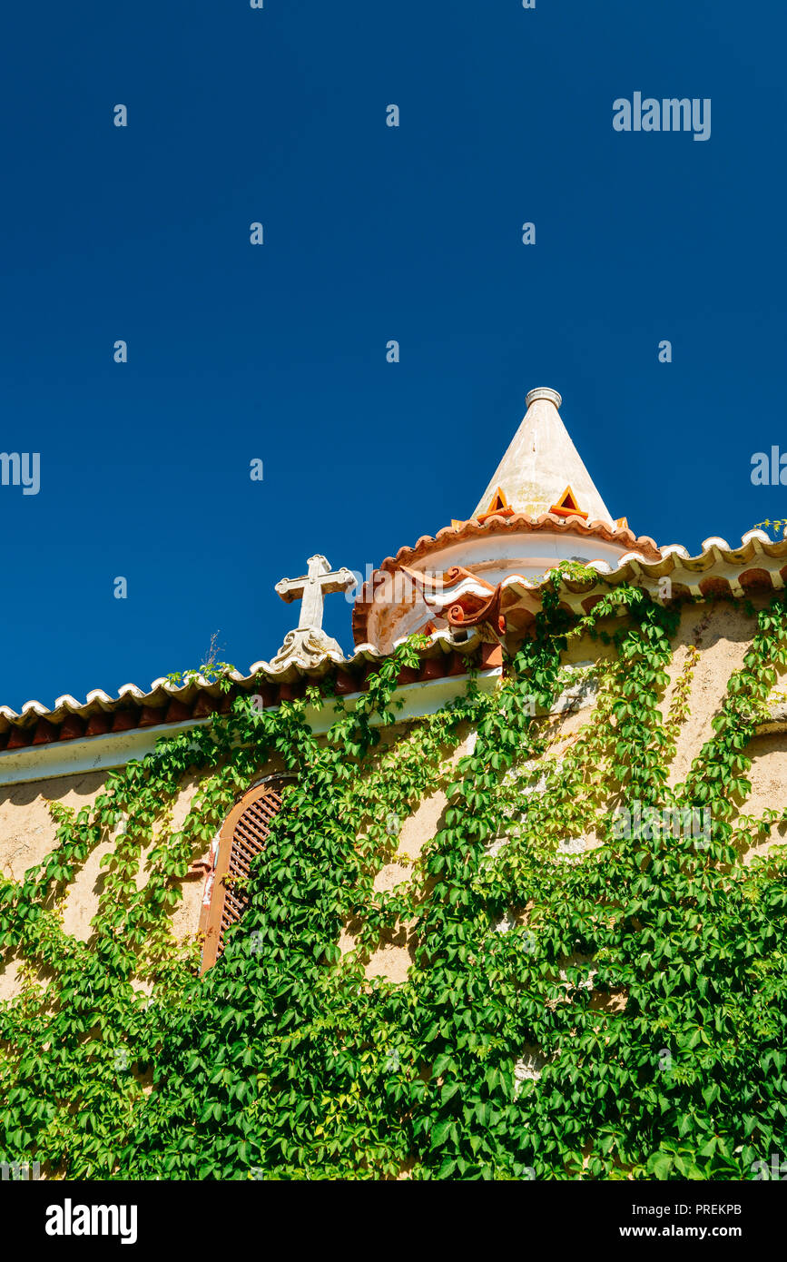 Finestra di una vecchia casa con la parete ricoperta da uva selvatica. Foto Stock