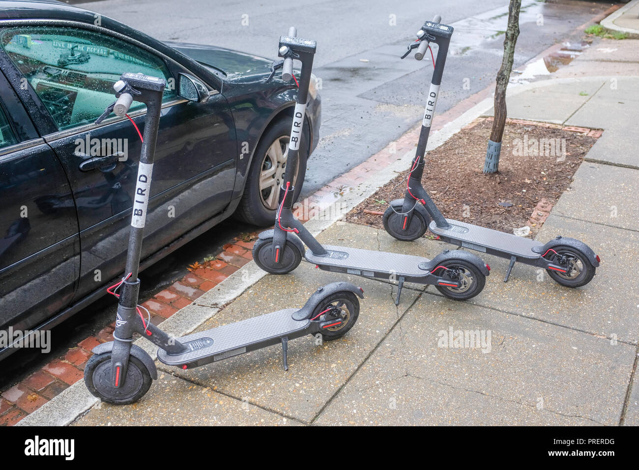 Tre dockless scooter elettrici, disponibili per il noleggio, attendono i clienti su una strada di Washington DC. Foto Stock