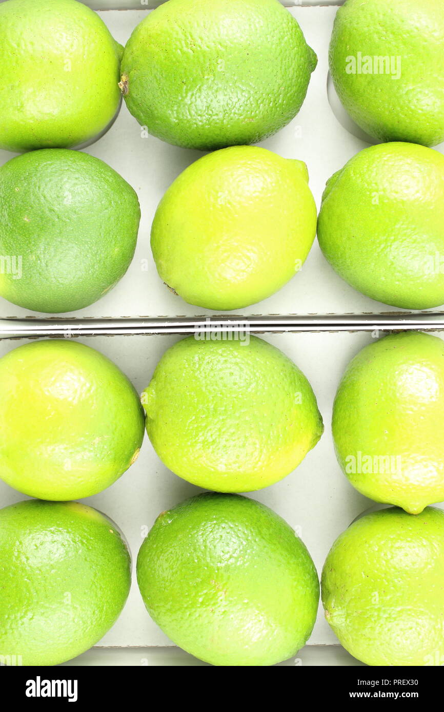 Composizione di lime fresco frutta nelle caselle Foto Stock