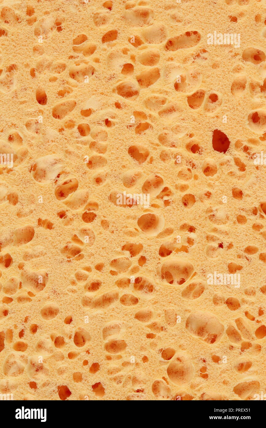 Struttura di spugna come una texture di sfondo Foto Stock