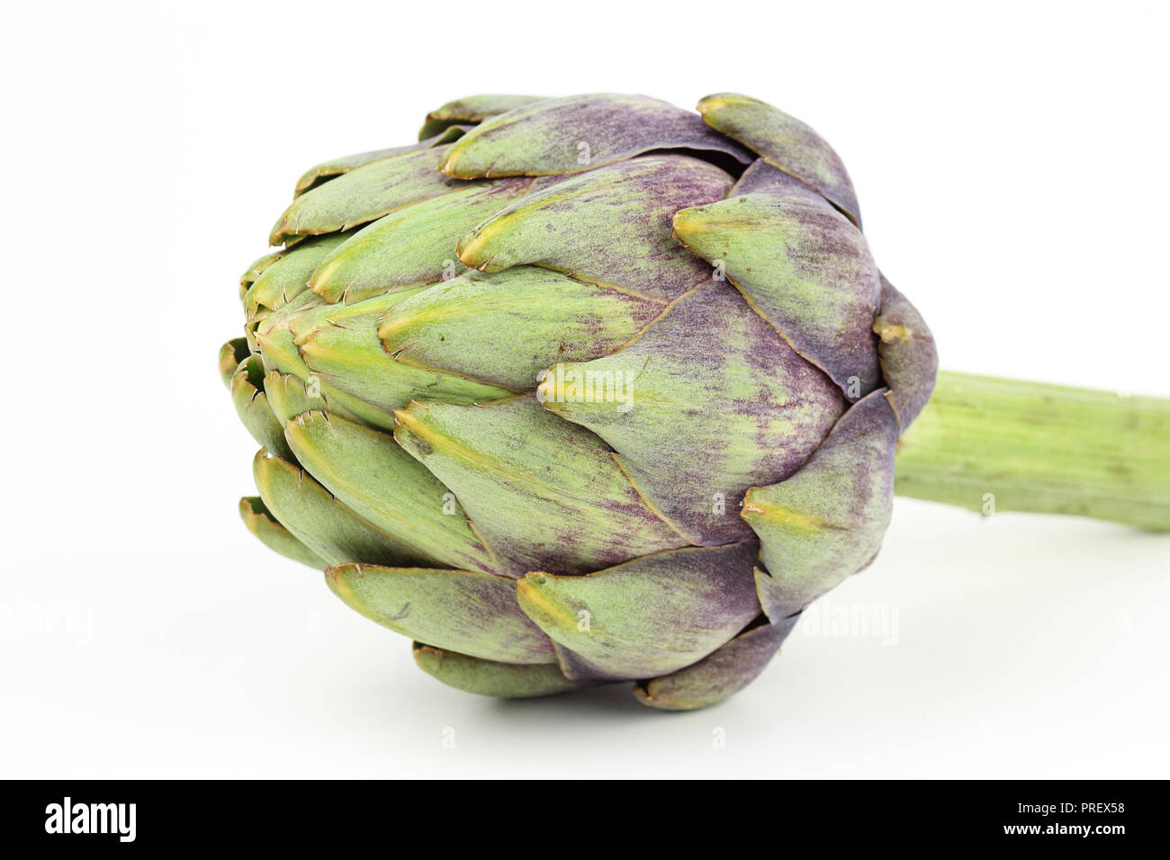Composizione di freschi di carciofi isolato su sfondo bianco con spazio di copia Foto Stock