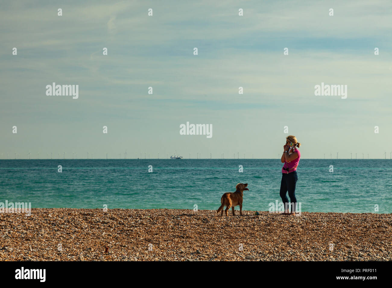 La donna a piedi un cane a Worthing beach, West Sussex, in Inghilterra. Foto Stock