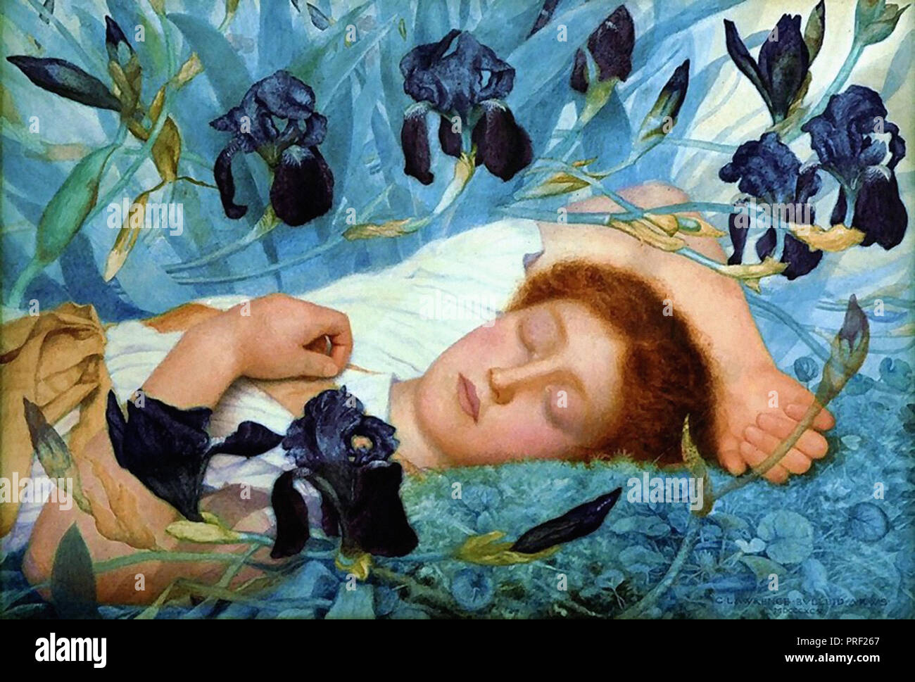 Bulleid George Lawrence - Iris Foto Stock