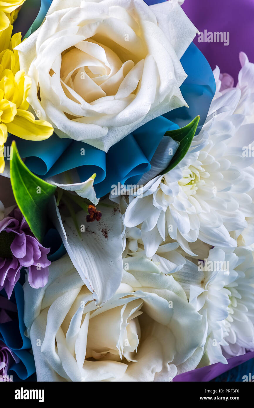 Bouquet di fiori d'estate contro sfondo colorato, verticale, primo piano. Foto Stock