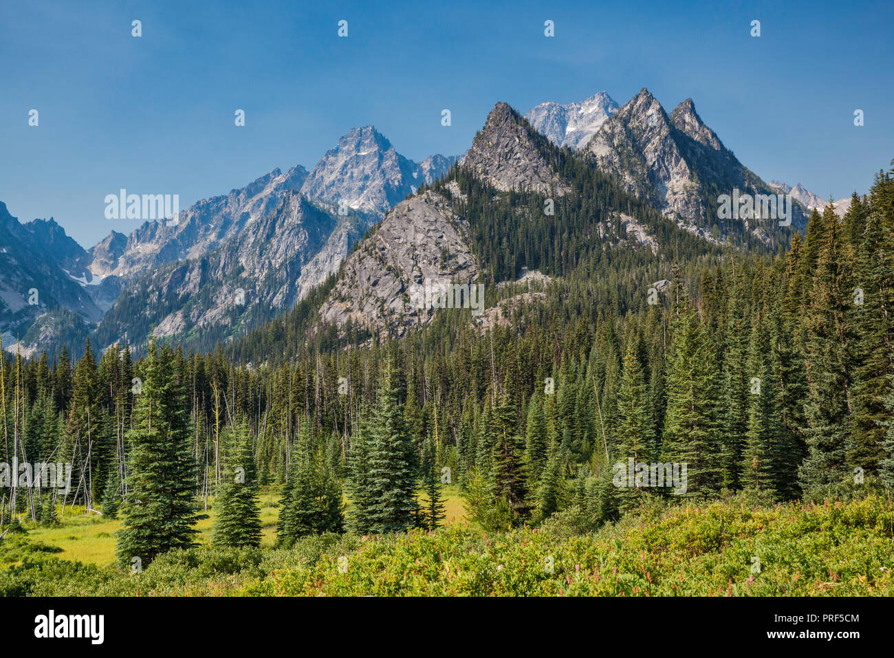Montare Stuart massiccio, da prato intorno alpinista Creek, Stuart Lago Trail, Alpine Lakes Wilderness, Central Cascades, nello stato di Washington, USA Foto Stock