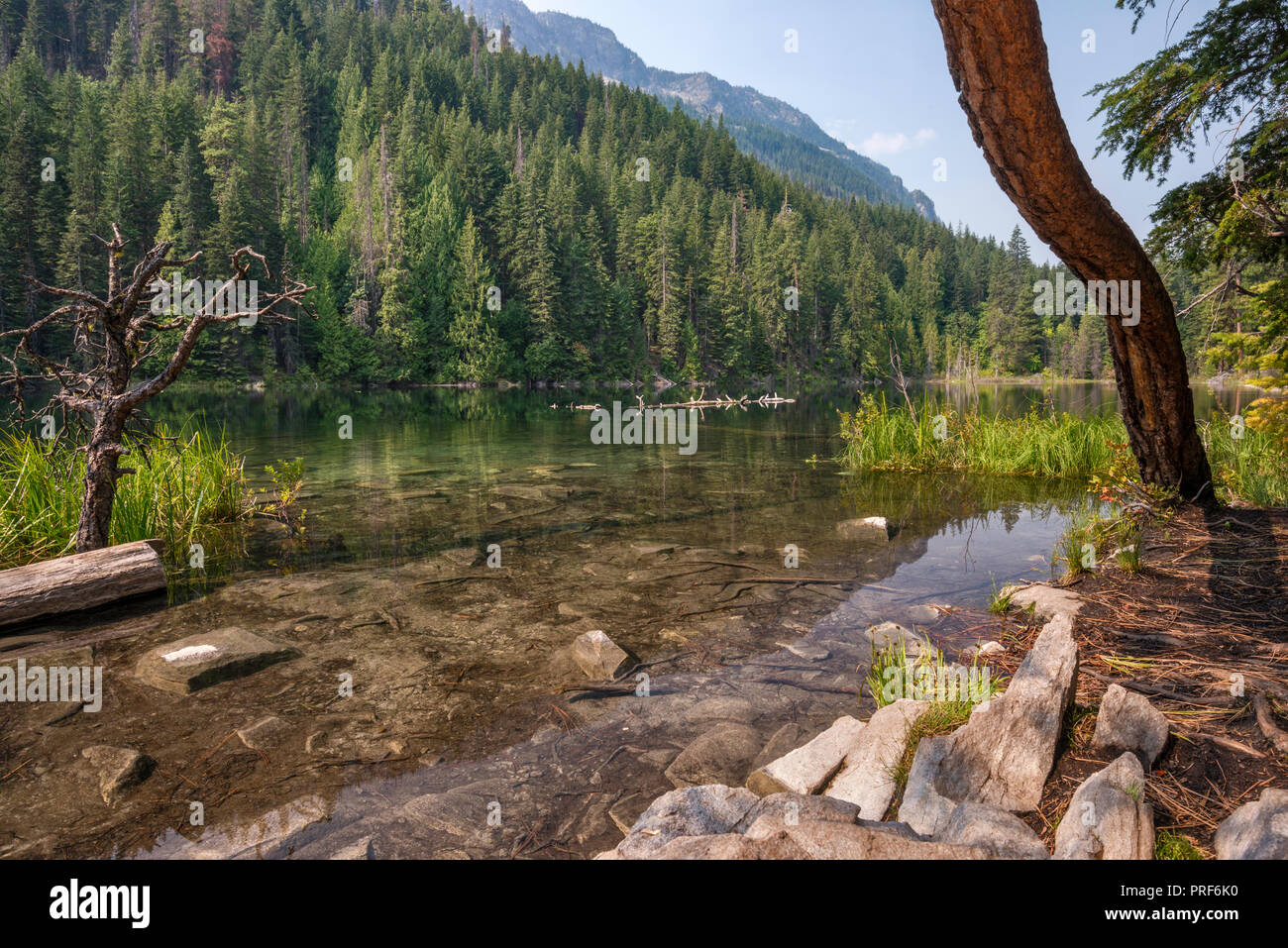 Nascosto lago, vicino al lago di Wenatchee, Wenatchee National Forest, Central Cascades, nello stato di Washington, USA Foto Stock