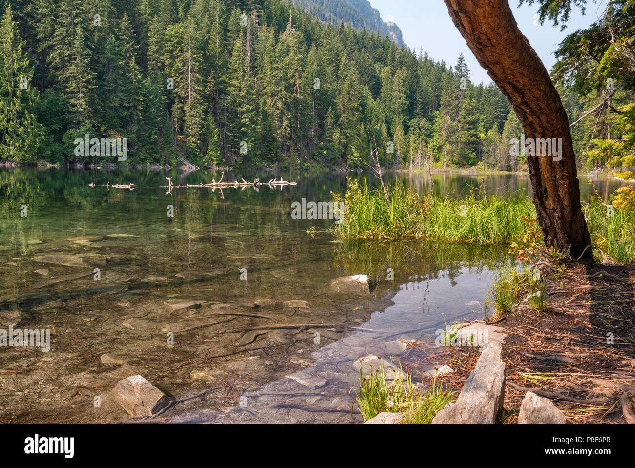 Nascosto lago, vicino al lago di Wenatchee, Wenatchee National Forest, Central Cascades, nello stato di Washington, USA Foto Stock