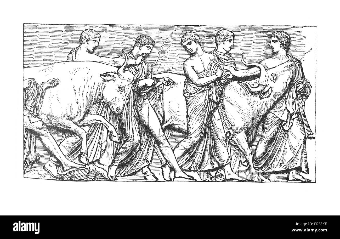 Illustrazione originale di vittime sacrificali in processione - (dall'originale al British Museum). Pubblicato in una storia pittorica del mondo gre Foto Stock