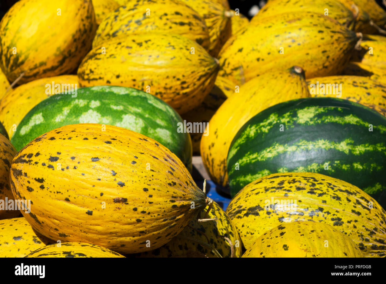 Gruppo di freschi maturi i cocomeri di verde e giallo melone dolce. Melone meloni sulla scatola in legno per la vendita in azienda agricola biologica. Il melone è uno qualsiasi di vari p Foto Stock