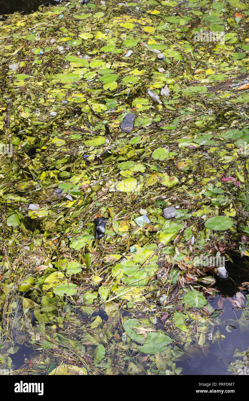 Inquinamento delle acque nella città Foto Stock